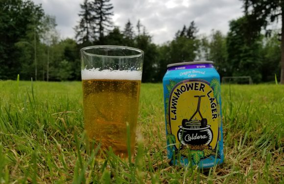 Caldera Lawnmower Lager<span class='yasr-stars-title-average'><div class='yasr-stars-title yasr-rater-stars'
                           id='yasr-overall-rating-rater-5dd9fee64f75c'
                           data-rating='4.3'
                           data-rater-starsize='16'>
                       </div></span>