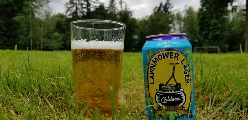 Caldera Lawnmower Lager<span class='yasr-stars-title-average'><div class='yasr-stars-title yasr-rater-stars'
                           id='yasr-overall-rating-rater-60d1645890f97'
                           data-rating='4.3'
                           data-rater-starsize='16'>
                       </div></span>